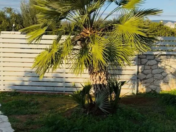 3-bedroom Detached House In Nea Tirintha, Greece (198 M²)