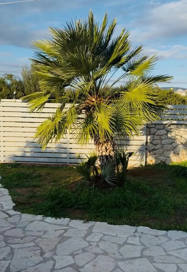 3-bedroom Detached House In Nea Tirintha, Greece (198 M²)