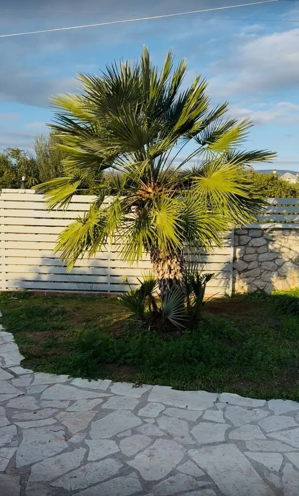Detached House Of 198 M² In Peloponnese