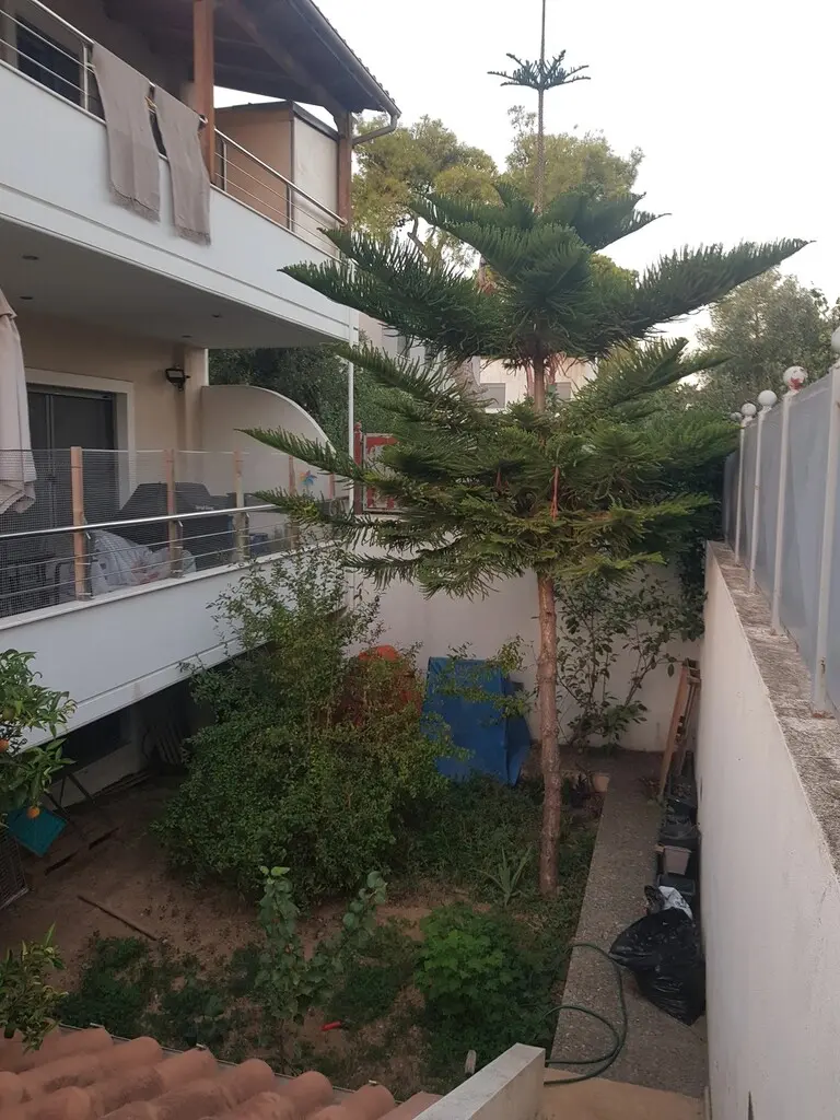 Detached House Of 497 M² In Athens