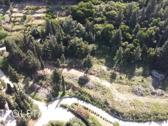 Land Of 4394 M² In Lourdas, Greece