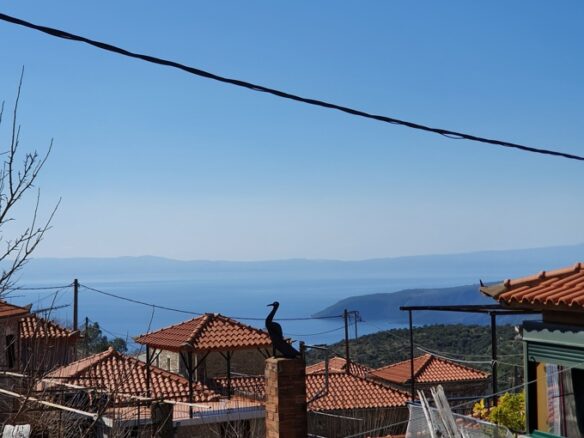 Detached House For Sale, Lefktros, 160 Sq.m.