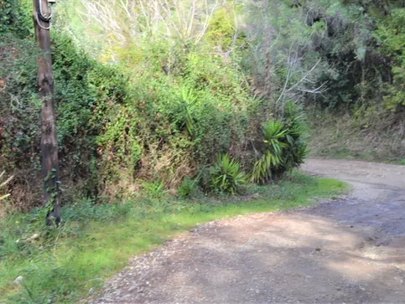 Land In Corfu, Greece