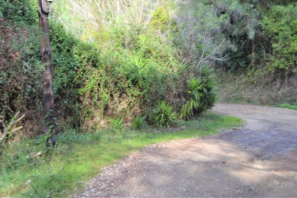 Land Of 10959 M² In Corfu