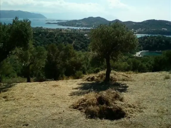Land In Aristotle, Greece