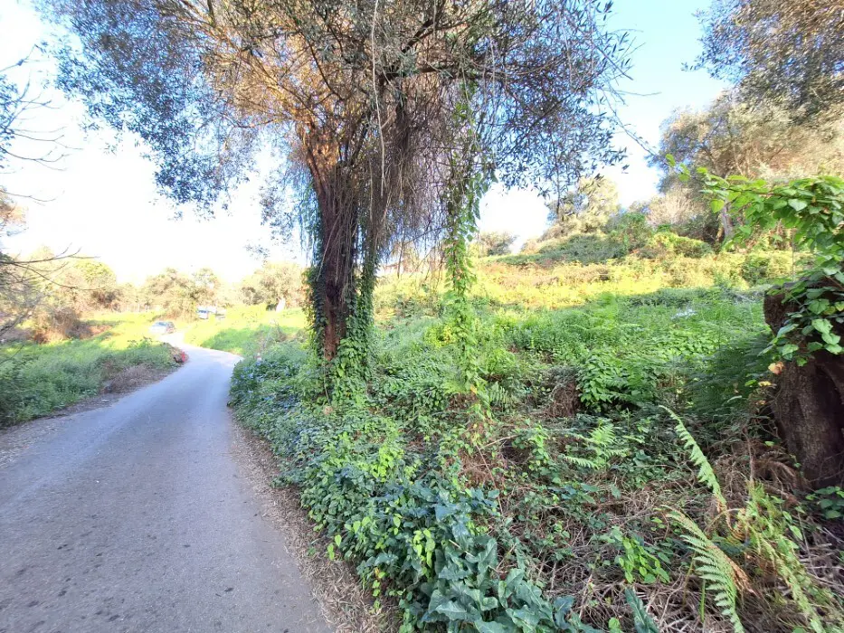 Land In Corfu, Greece