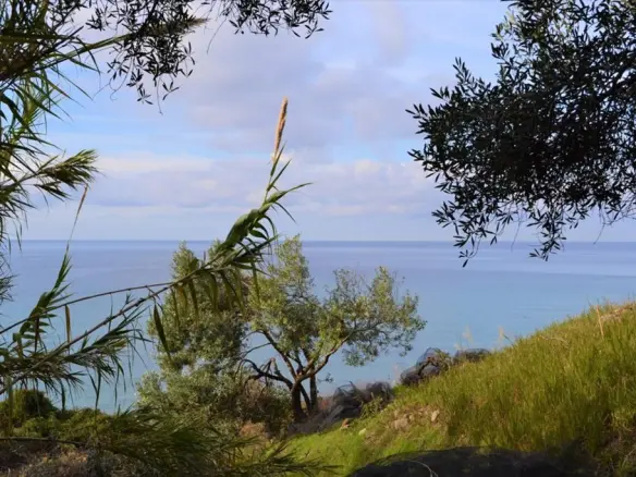 Land In Corfu, Greece