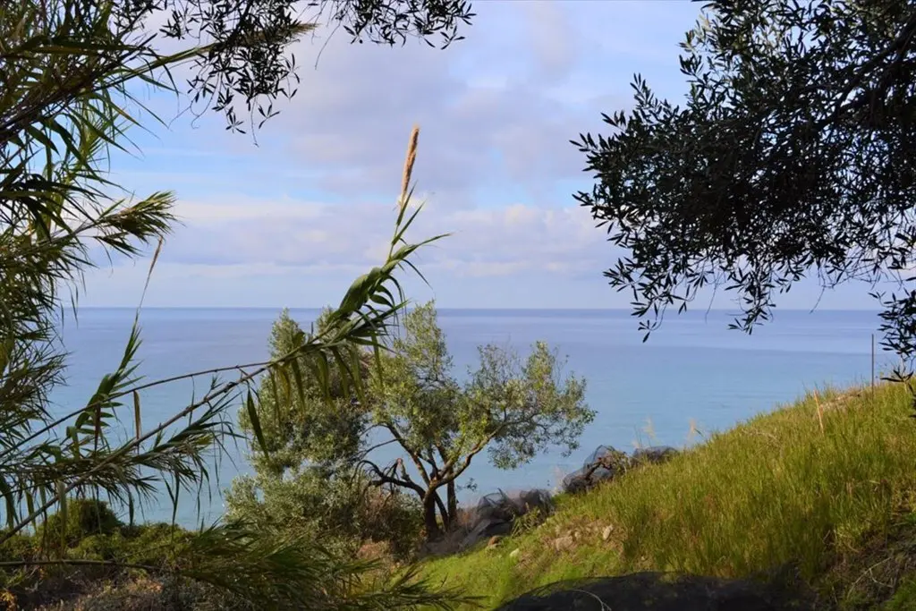 Land Of 10959 M² In Corfu