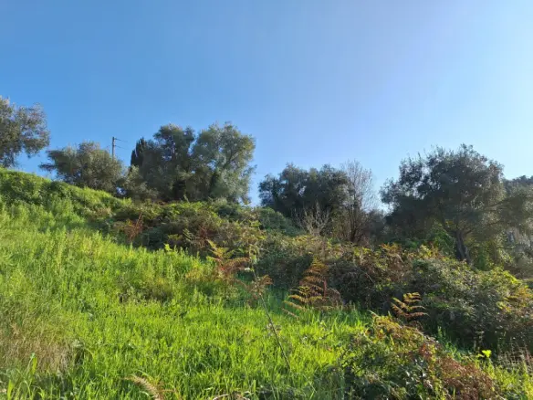 Land In Corfu, Greece