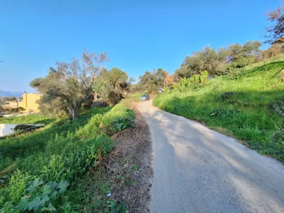Land In Corfu, Greece