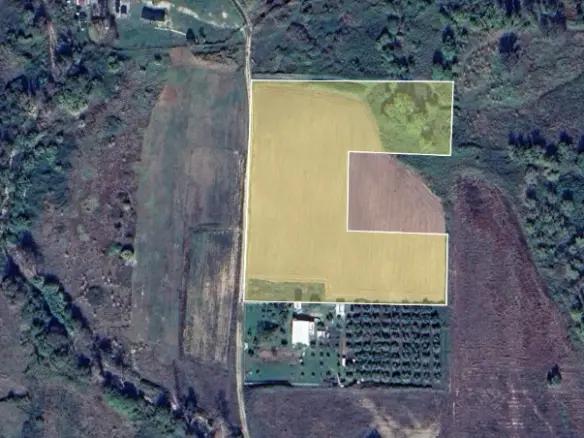 Land In Aristotle, Greece