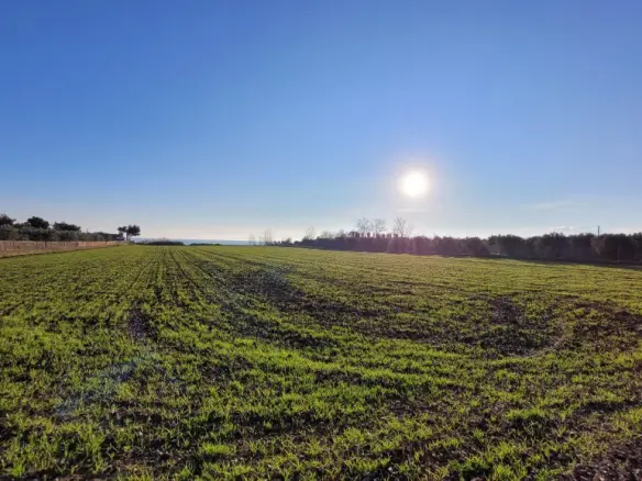 Land Of 9375 M² In The Suburbs Of Thessaloniki