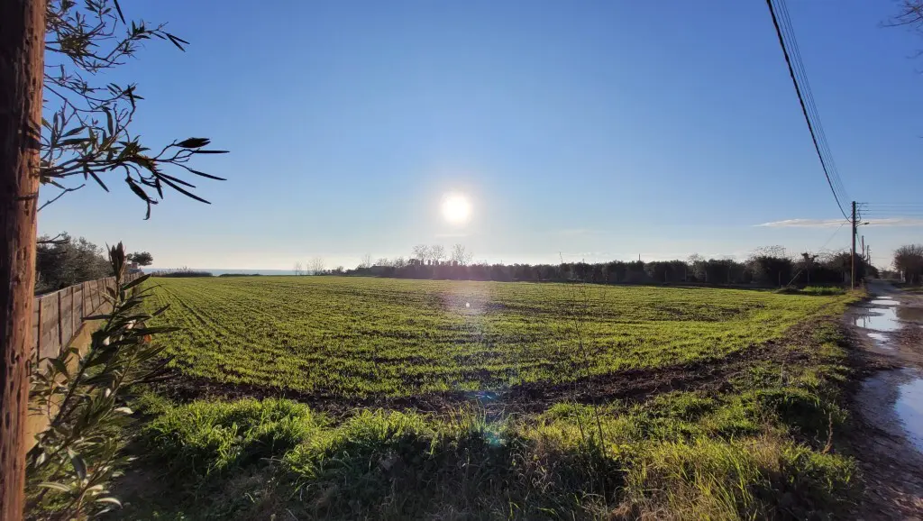 Land Of 9375 M² In The Suburbs Of Thessaloniki