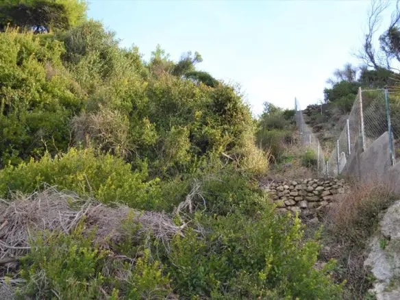 Land In Corfu, Greece