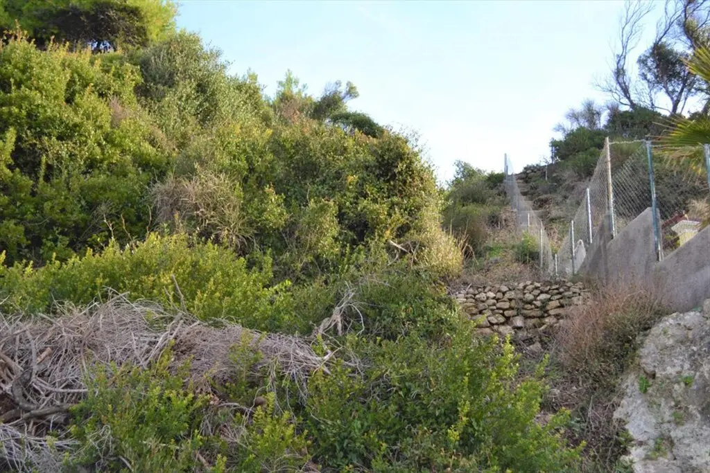 Land Of 10959 M² In Corfu