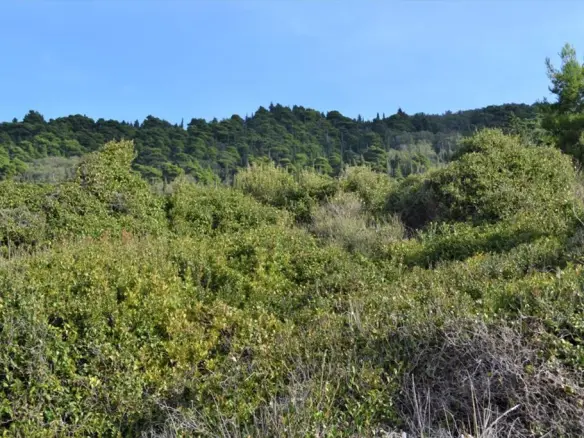 Land In Corfu, Greece