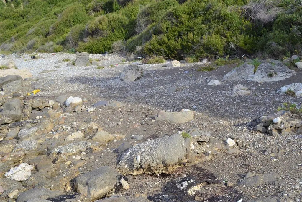 Land Of 10959 M² In Corfu