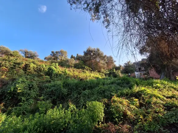 Land In Corfu, Greece