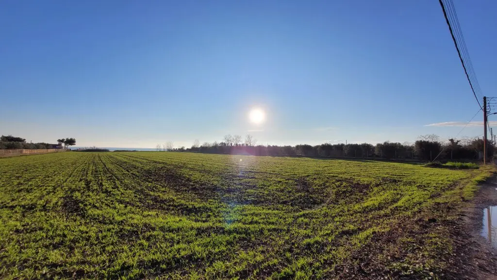 Land Of 9375 M² In The Suburbs Of Thessaloniki
