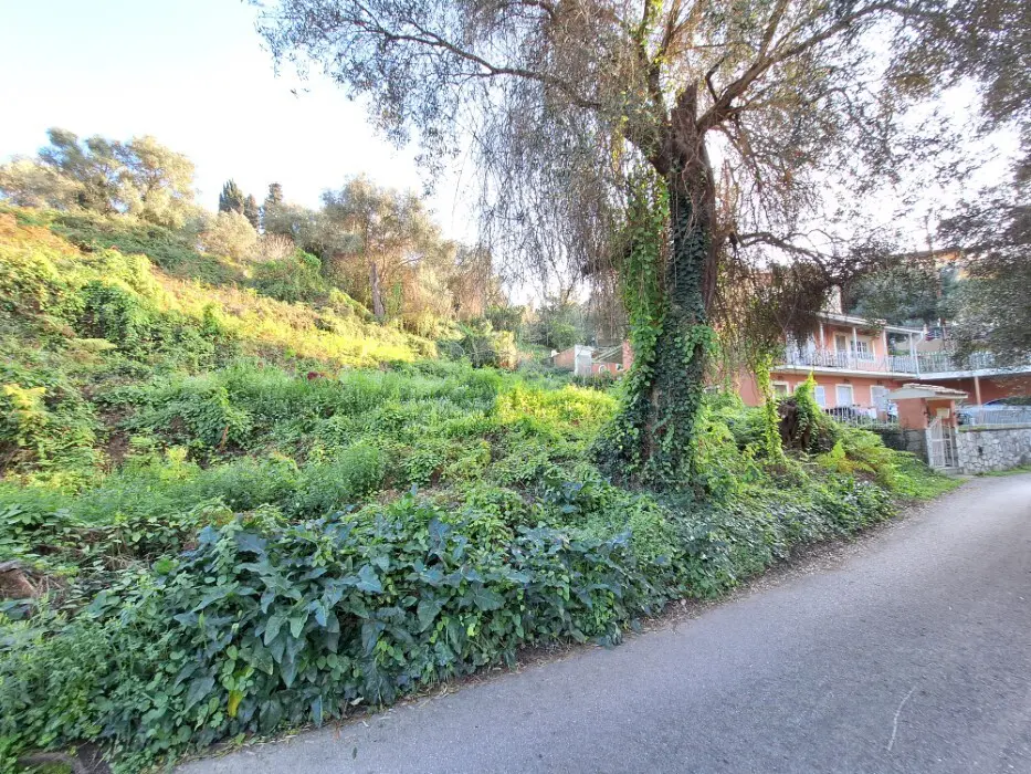 Land In Corfu, Greece