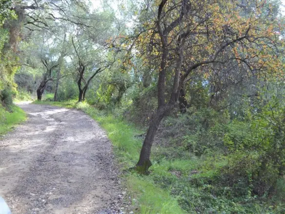 Land In Corfu, Greece