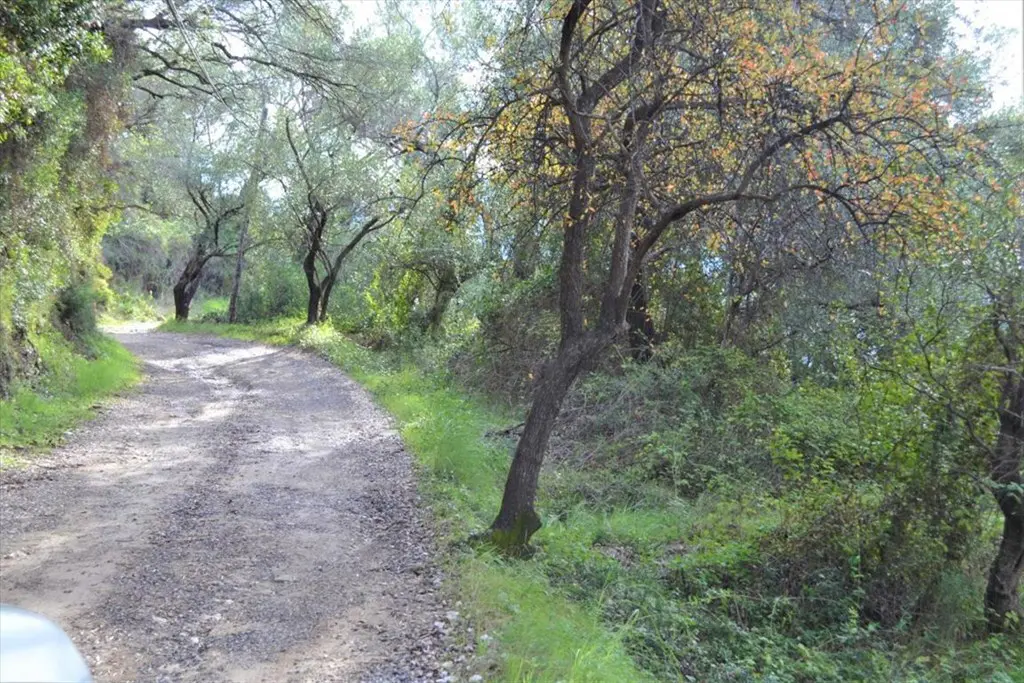 Land Of 10959 M² In Corfu