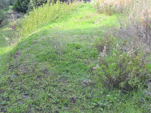 Land In Corfu, Greece