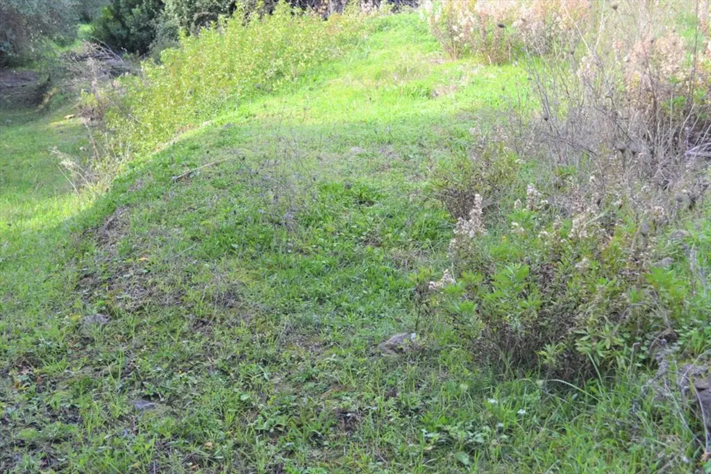 Land Of 10959 M² In Corfu
