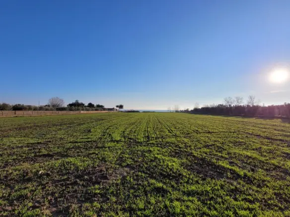 Land In Epanomi, Greece