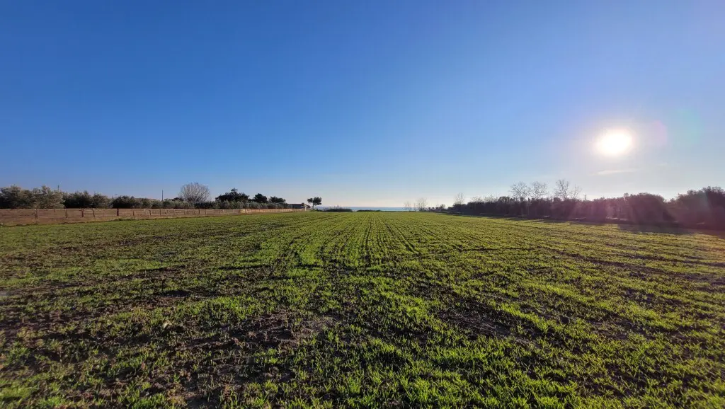 Land Of 9375 M² In The Suburbs Of Thessaloniki