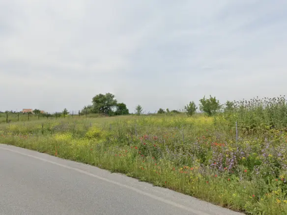 Land In Michaniona, Greece