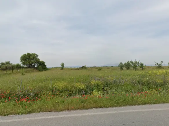 Land In Michaniona, Greece