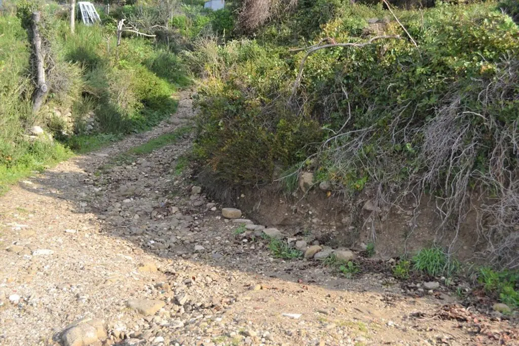 Land Of 10959 M² In Corfu