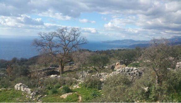 Plot Of Land Of 1.200 M² With Building Permit In West Mani, Greece