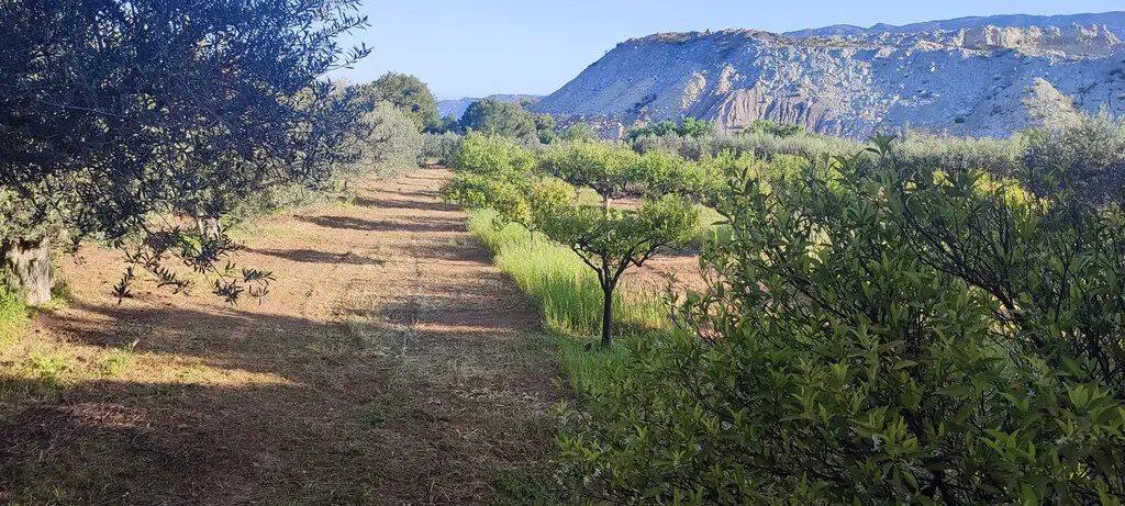 Detached House Of 225 M² In Peloponnese