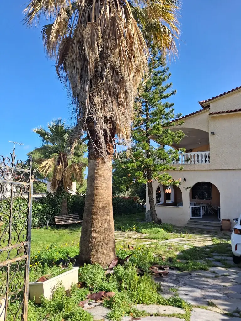 Detached House Of 160 M² In Peloponnese