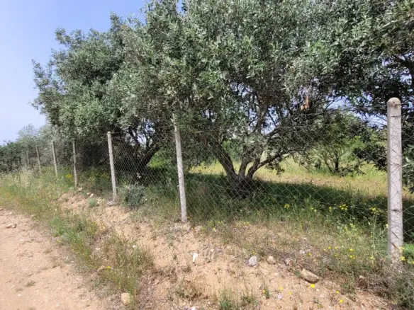 Land In Panorama, Greece