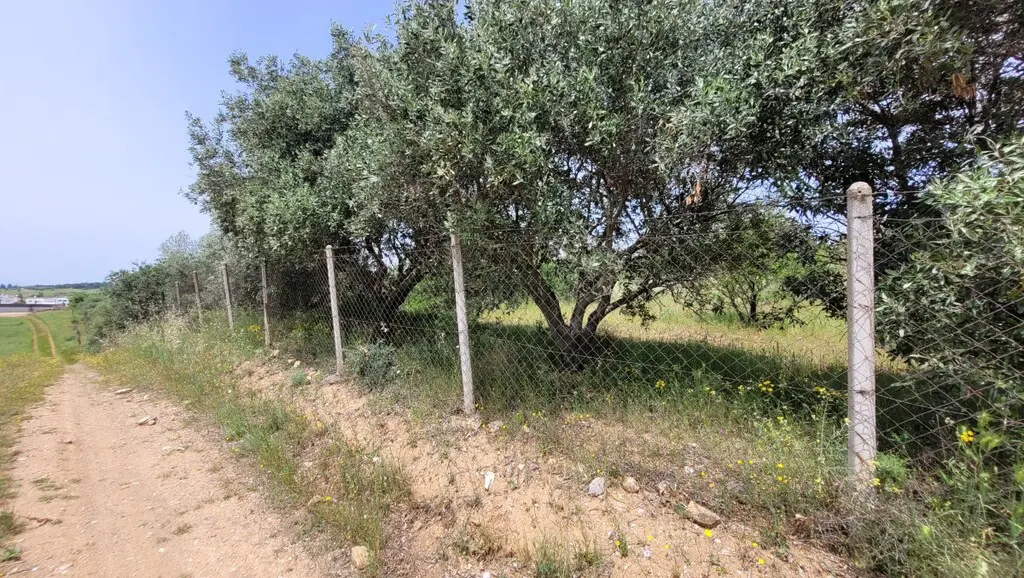 Land Of 5000 M² In The Suburbs Of Thessaloniki