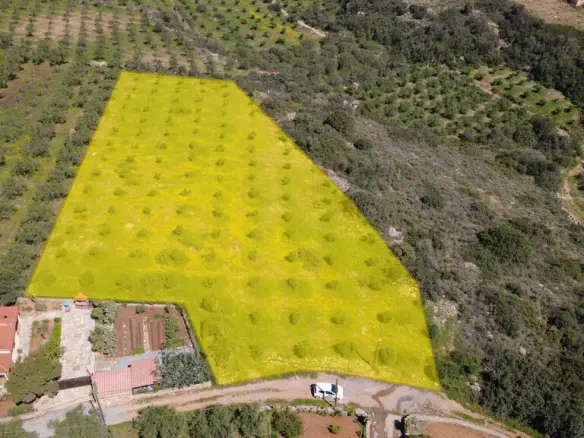 Land In Vrachasi, Greece
