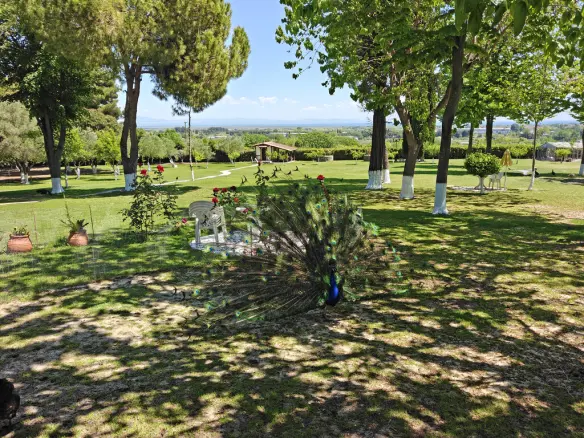 Detached House Of 285 M² In Olympic Coast