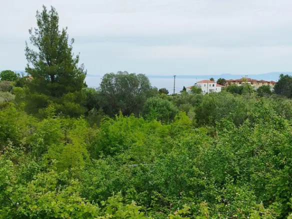 Land In Kassandra, Greece