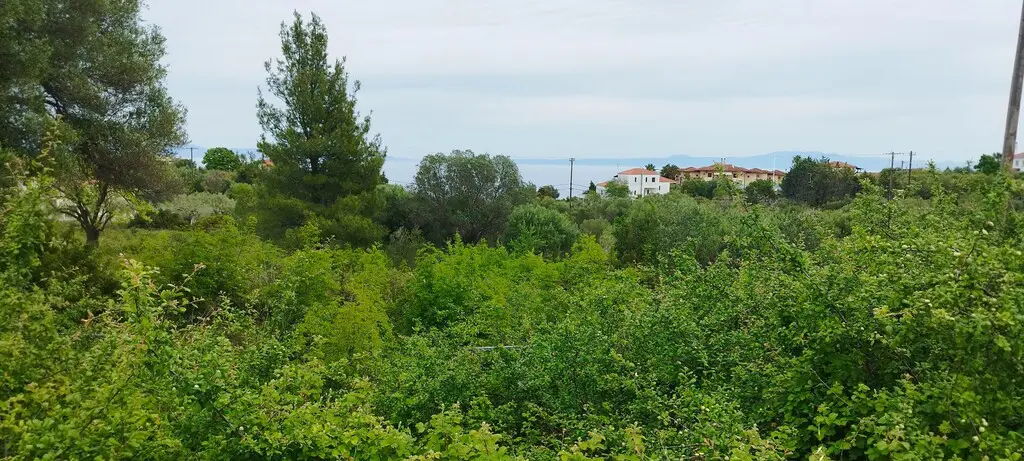 Land Of 2417 M² In Kassandra, Chalkidiki