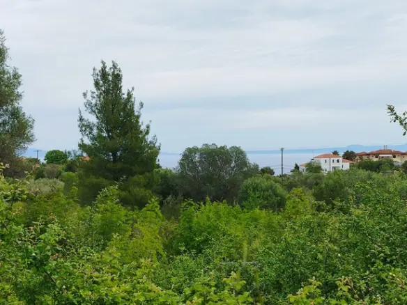 Land Of 2417 M² In Kassandra, Chalkidiki