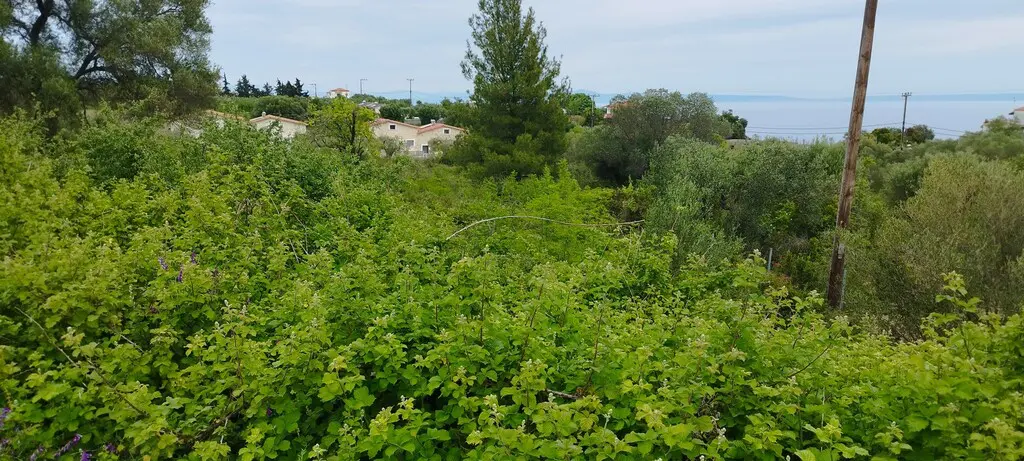 Land Of 2417 M² In Kassandra, Chalkidiki