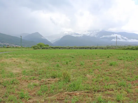 Land Of 7674 M² On The Olympic Coast