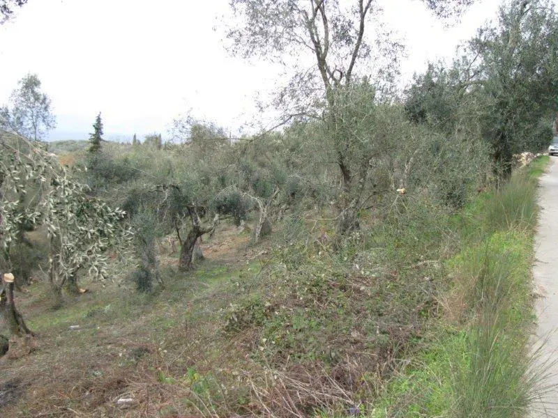 Prime Land Parcel Available In Corfu