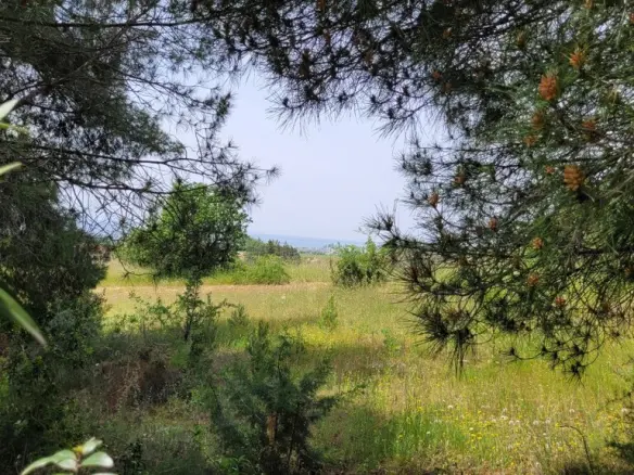 Land In Panorama, Greece