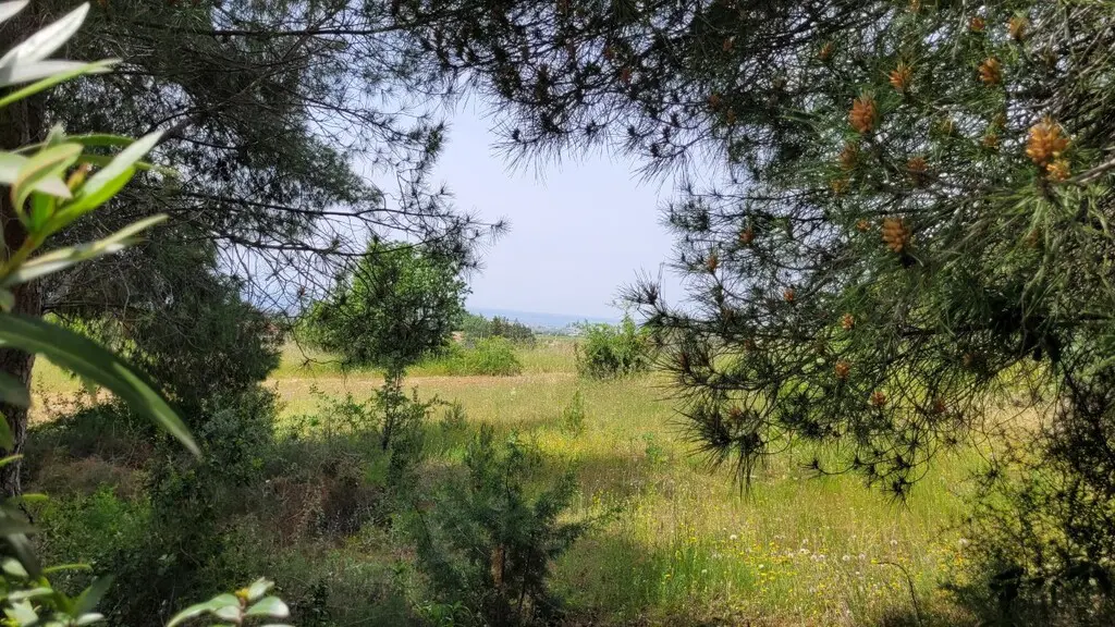 Land Of 5000 M² In The Suburbs Of Thessaloniki