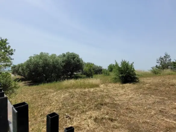 Land In Panorama, Greece