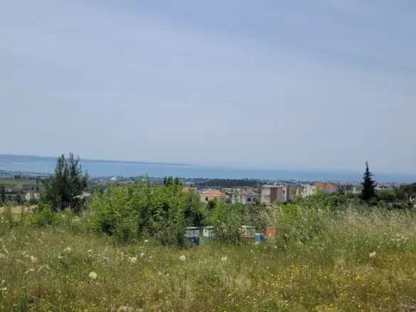 Land In Panorama, Greece